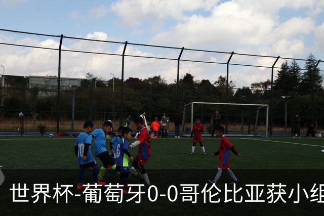 世界杯-葡萄牙0-0哥伦比亚获小组第2 将战克罗地亚