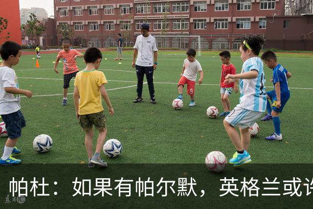 帕杜：如果有帕尔默，英格兰或许能破加纳防守